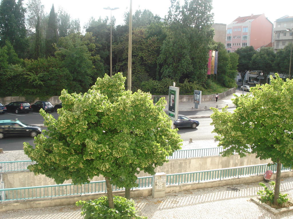 Center Garden Luxury Apartment Lisabona Cameră foto